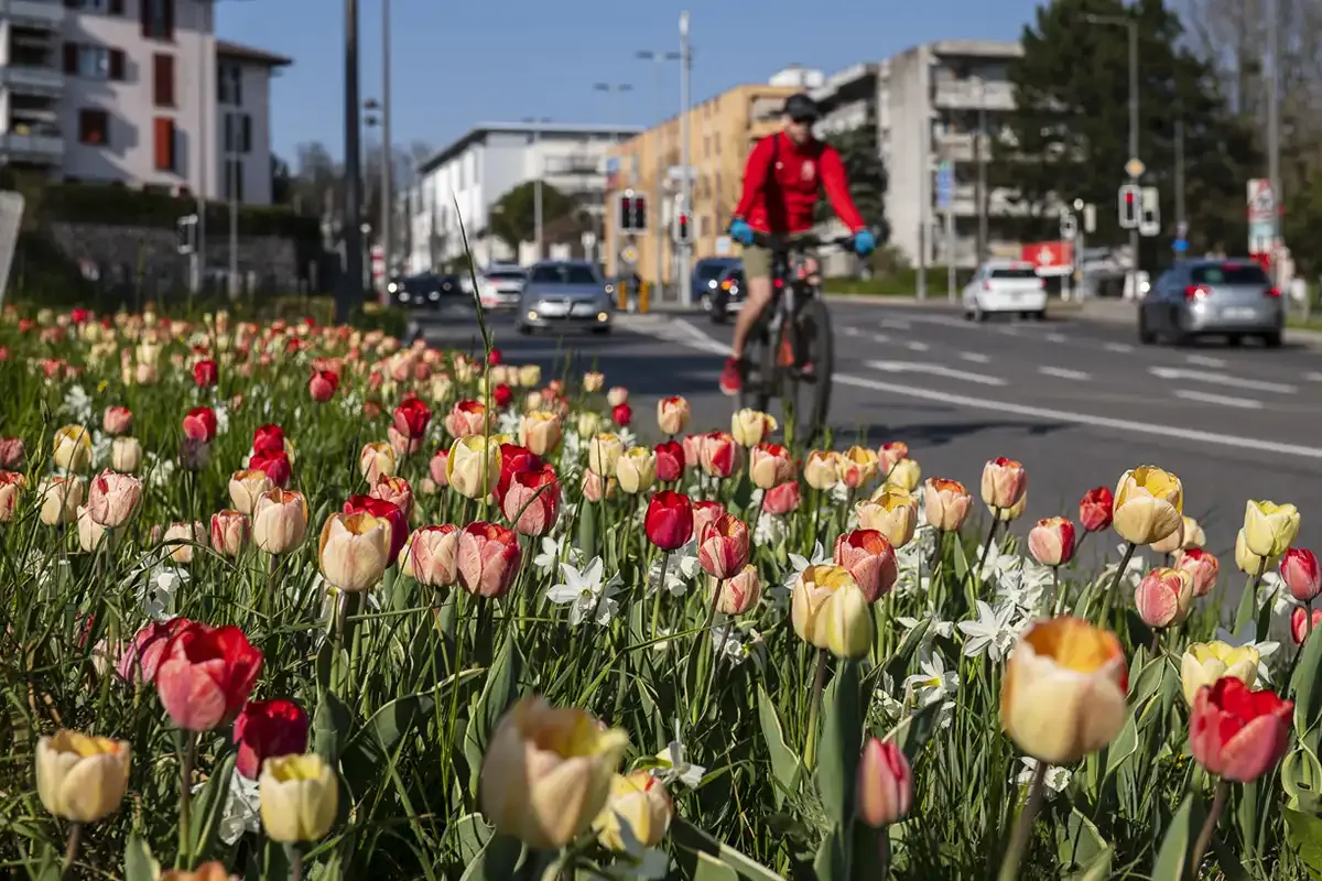© Marino Trotta – Ville de Lausanne